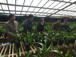 Hoạt động KHCN góp phần nâng cao chất lượng sản phẩm nông nghiệp